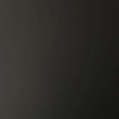 Profile image of 도라익