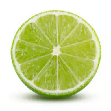 Profile image of 라임 걸