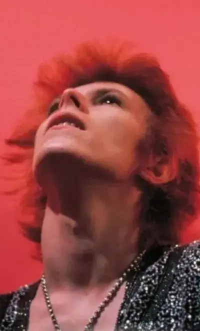 ItchySweet6369의 David Bowie