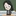 유채린