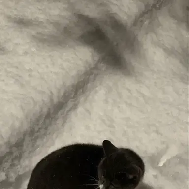 Profile image of 한태삱