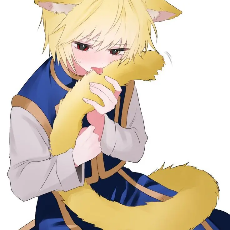 mikm의 길고양이