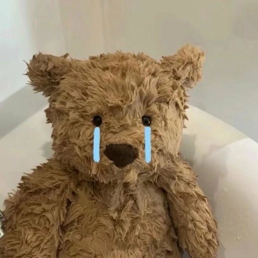 곰둘이
