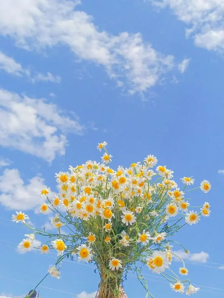 SinfulAkita0089의 너 무 좋 아 ♡