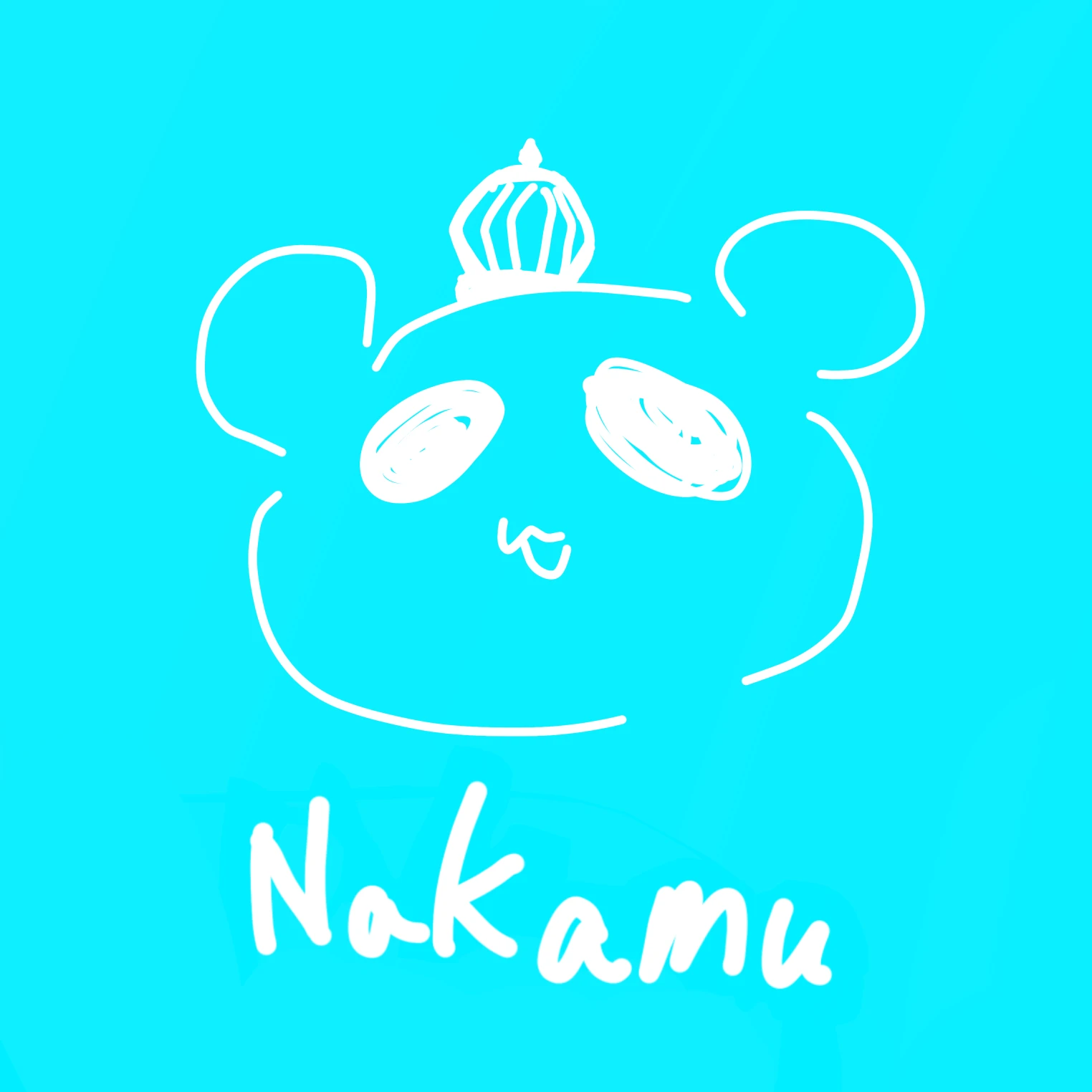 ナカム
