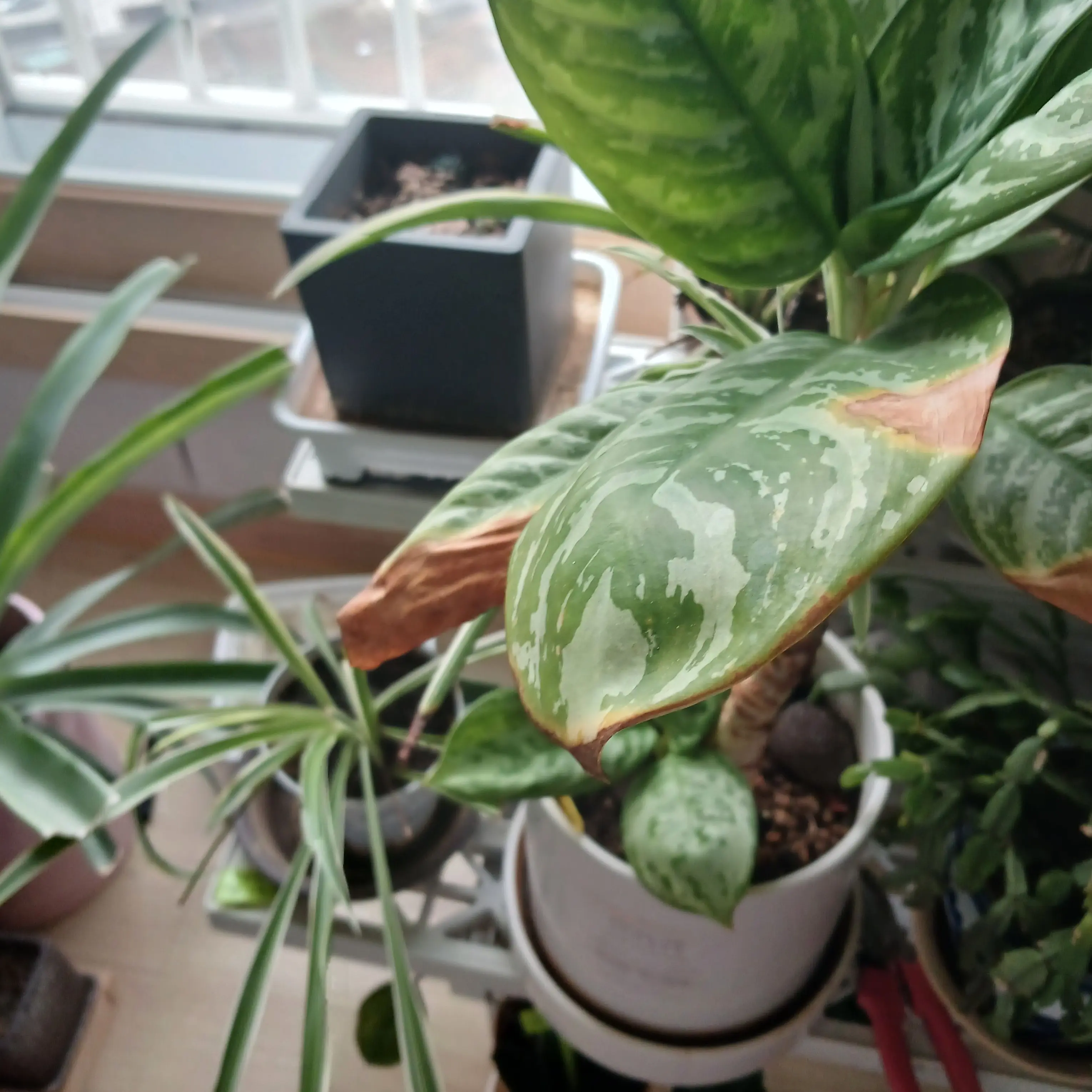 whwn31의 똥,오줌 제어 시스템