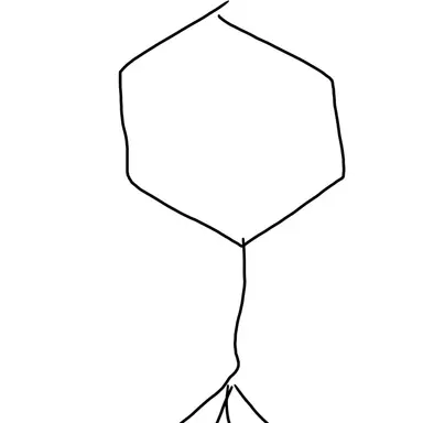 Profile image of 미라