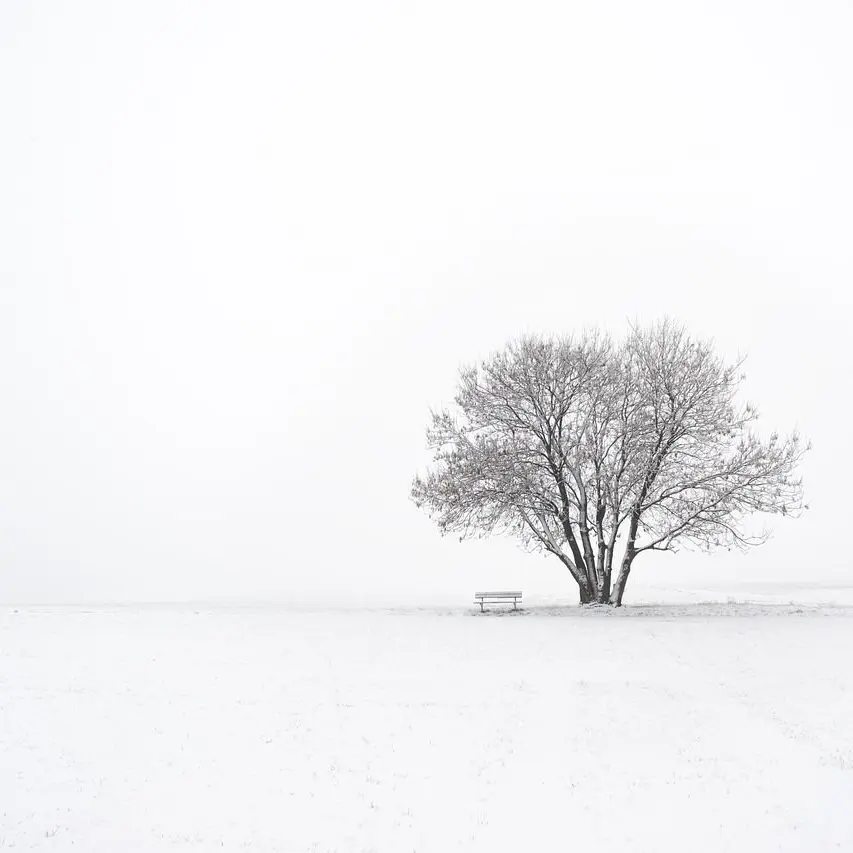 Idealist_91의 名無し 白