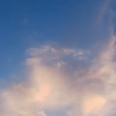 Profile image of 한동민