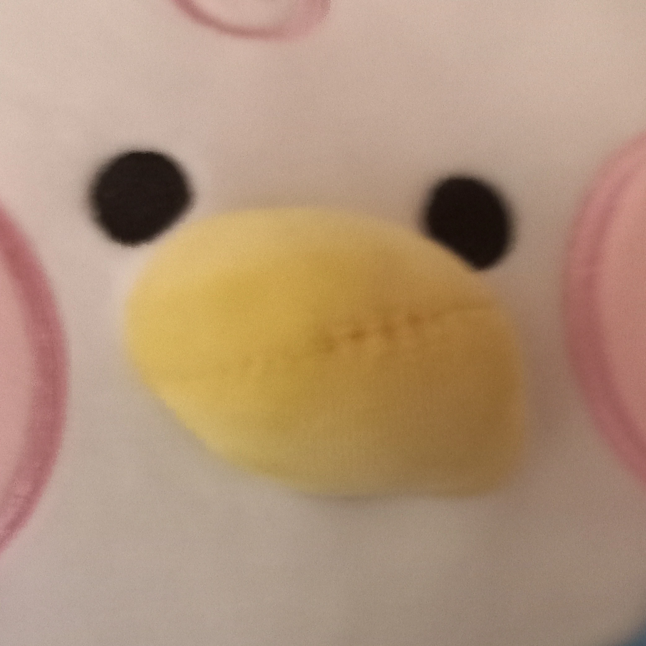 파오리
