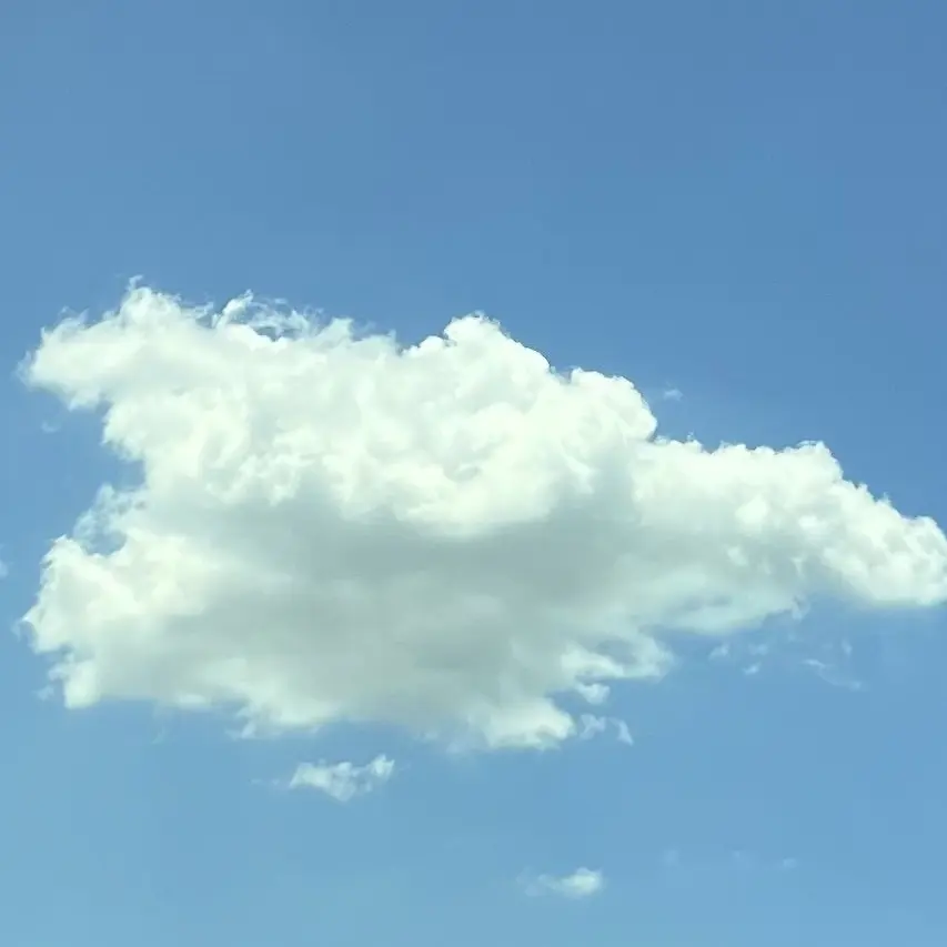 eraser0126의 검은머리 영국의사