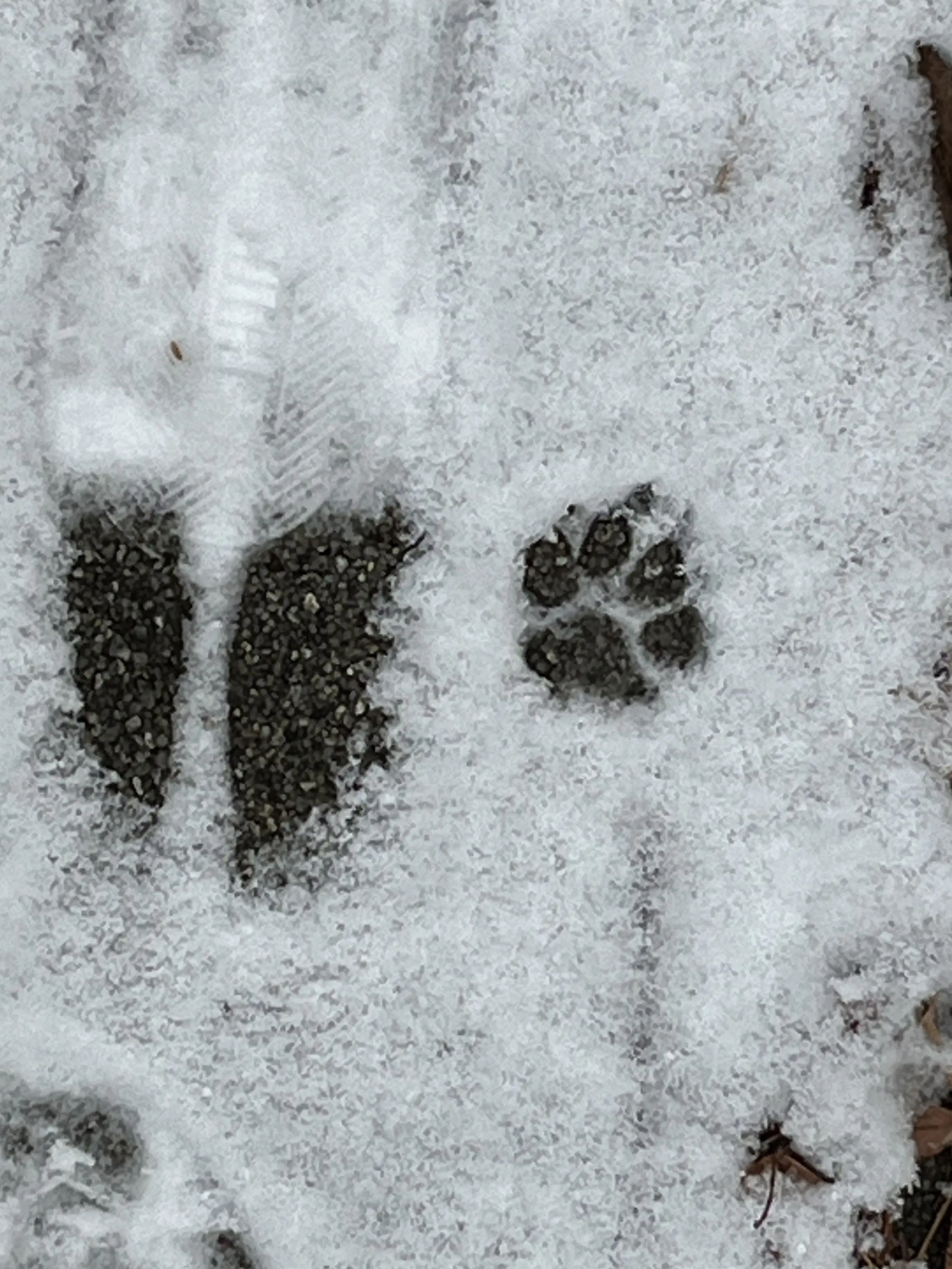 gayun_kim의 마법 쓰는 친구들!