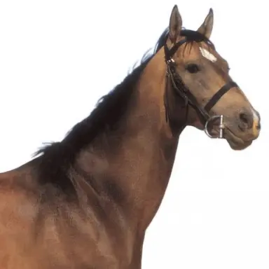 Profile image of 쟝