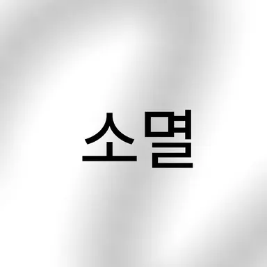 Profile image of 소멸