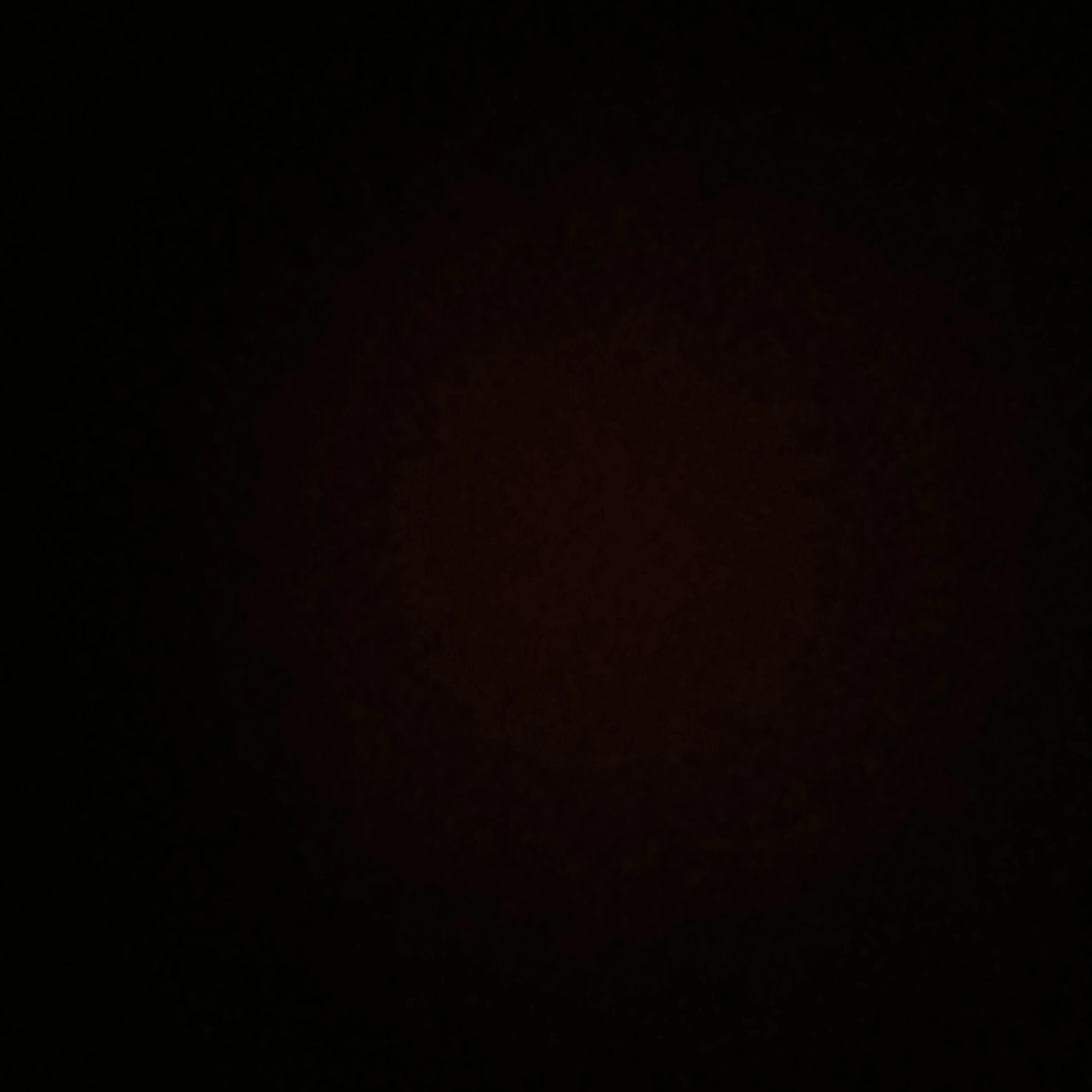 권선우