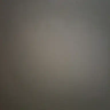 Profile image of 고고프렌즈