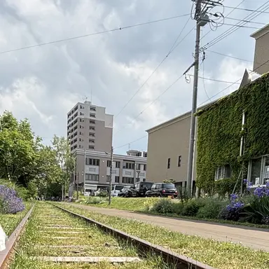 Profile image of アオハル