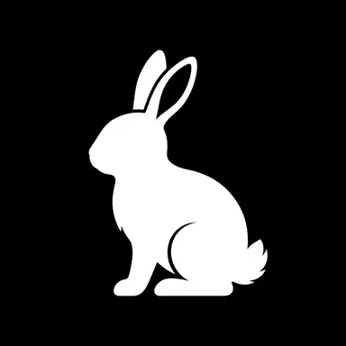 Profile image of 백아
