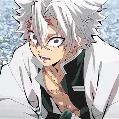 Profile image of 시나즈가와 사네미