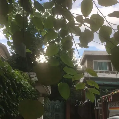 Profile image of 김민정