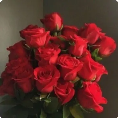 Profile image of 라더