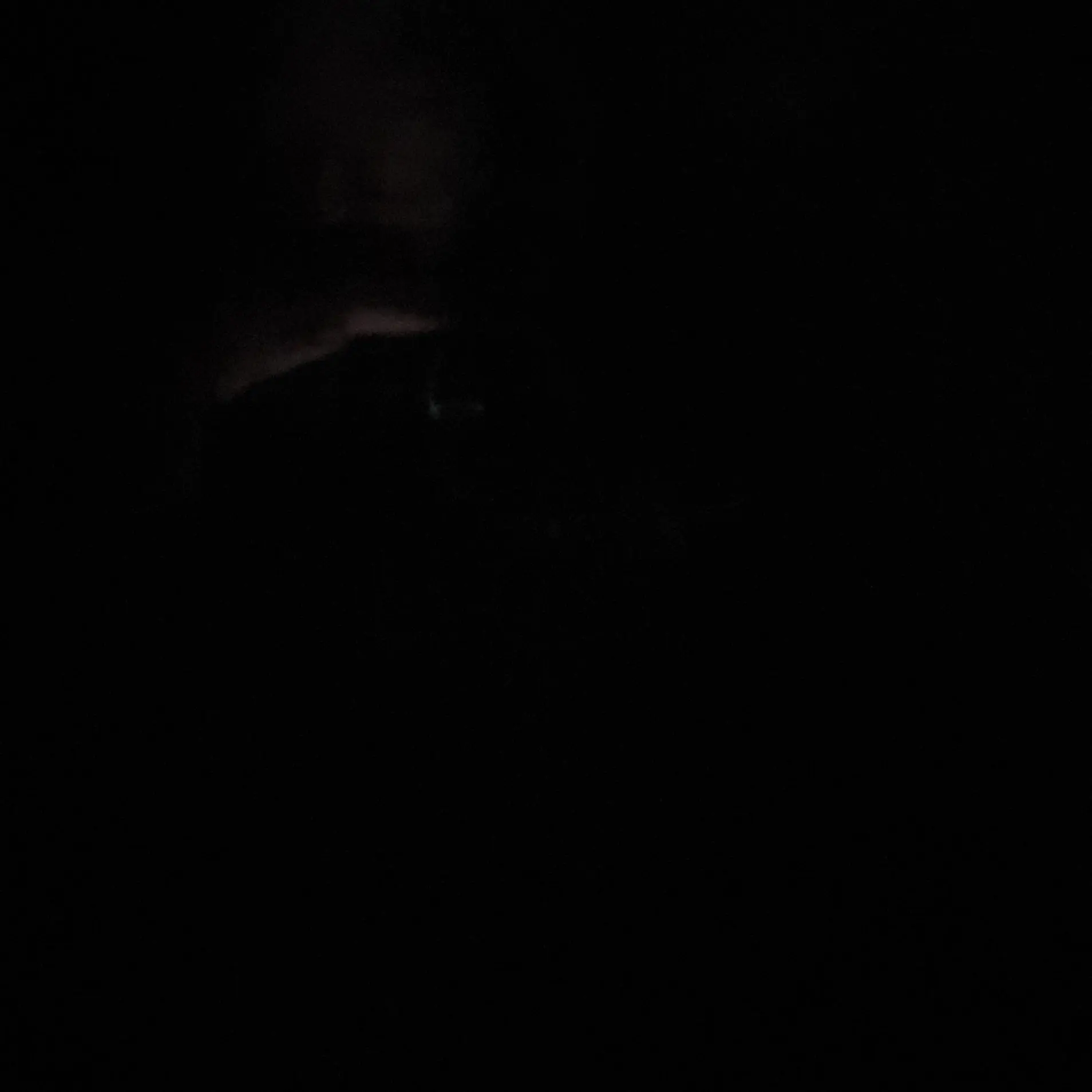 MoodyDeli7808의 안준호