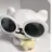 영욱 권리