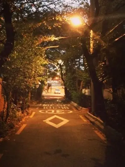 stay.320의 황현진