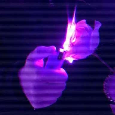 Profile image of 수현