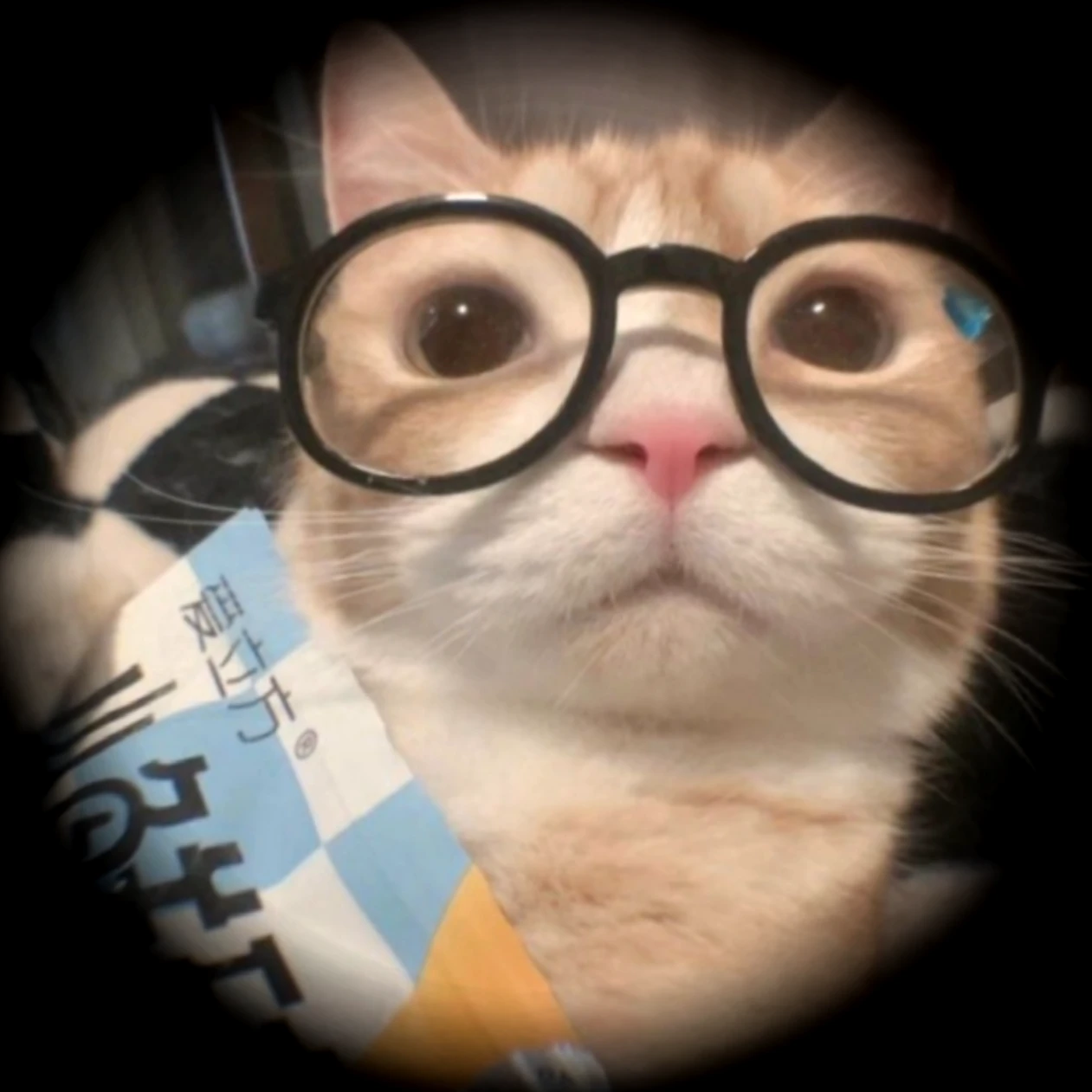 디디