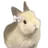 하연