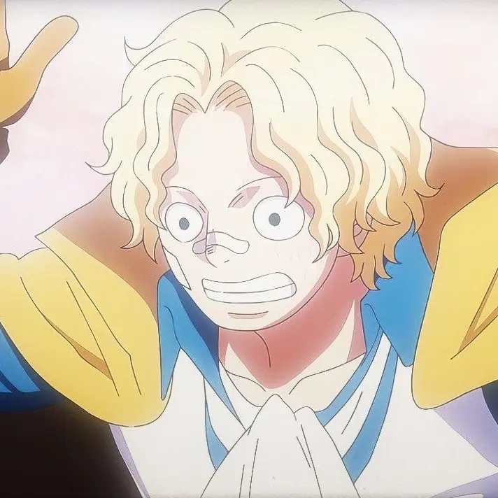 Onepiece_love의 사보