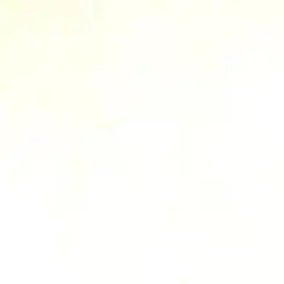 door._20235030의 개인용