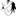 夏油