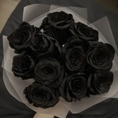 Profile image of 오윤환