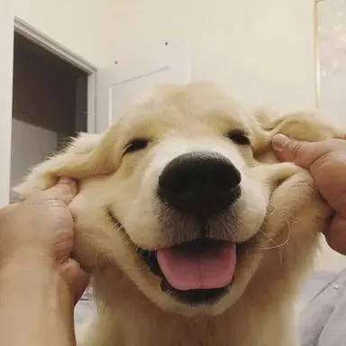 Profile image of 서하준