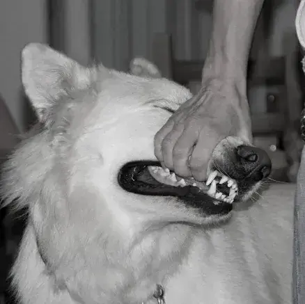 RancidHut1537의 TF141 - Hybrid x Pick-Me