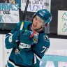Profile image of Macklin Celebrini