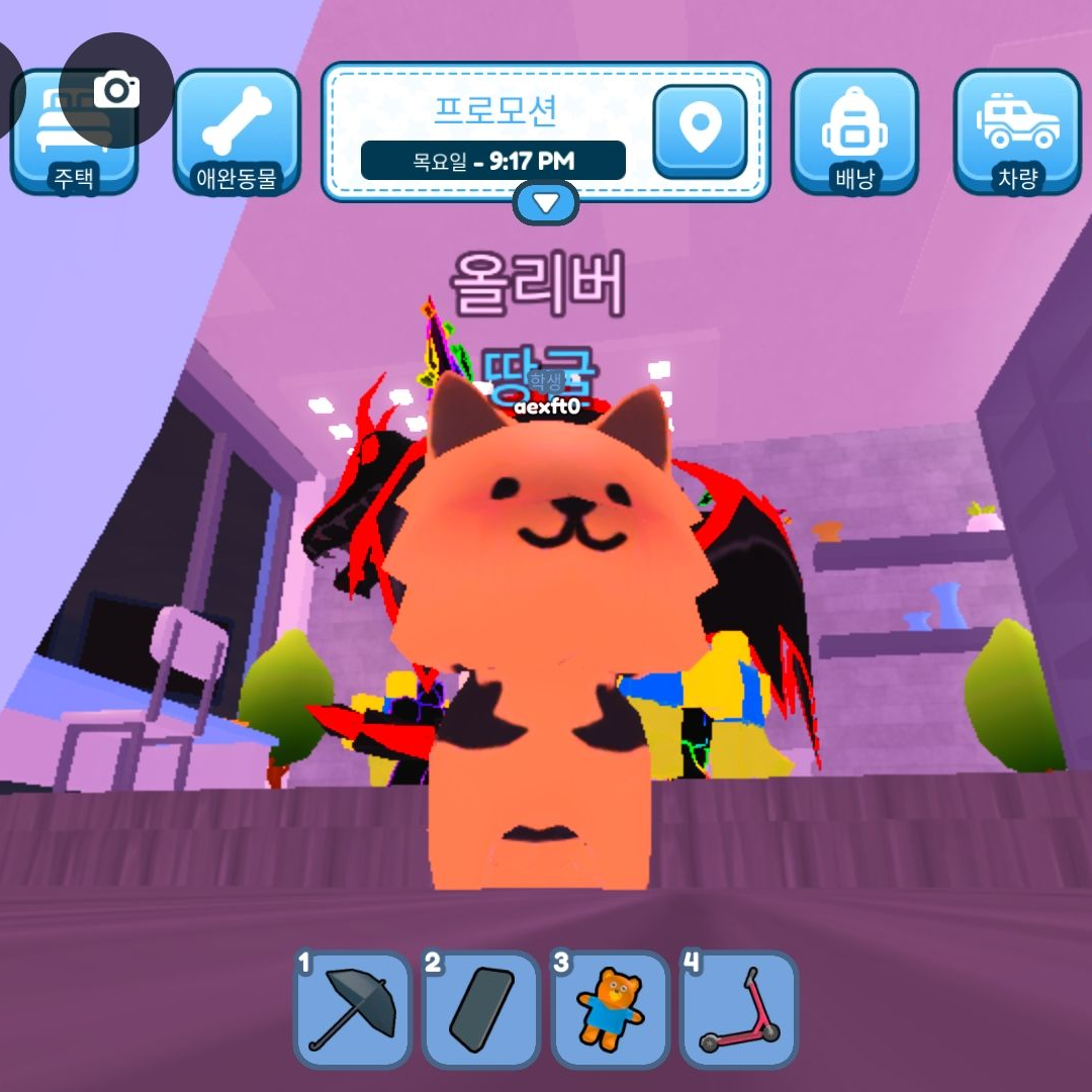 강아지 대표 이미지