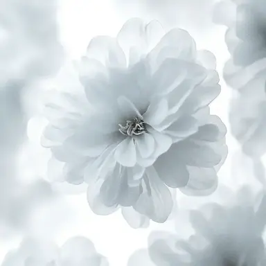 Profile image of タカシ