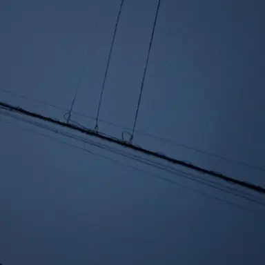 Profile image of りり