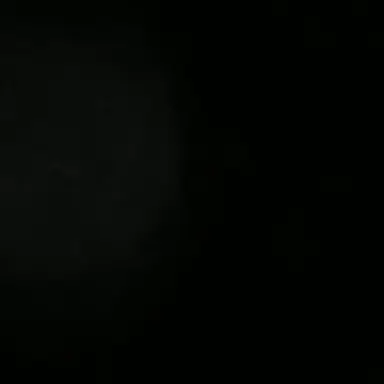 Profile image of 늑대