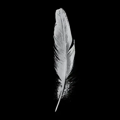 Profile image of 허문오