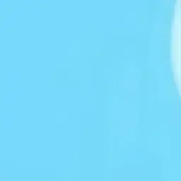 Profile image of 캠퍼