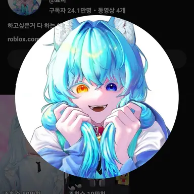 Profile image of 료미