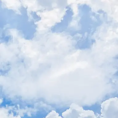 Profile image of 우찬