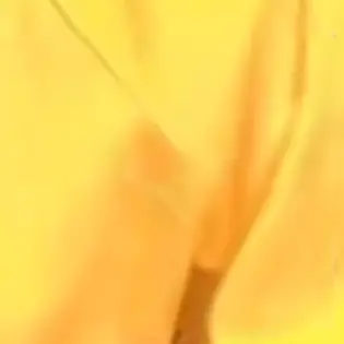 Profile image of 岩本照