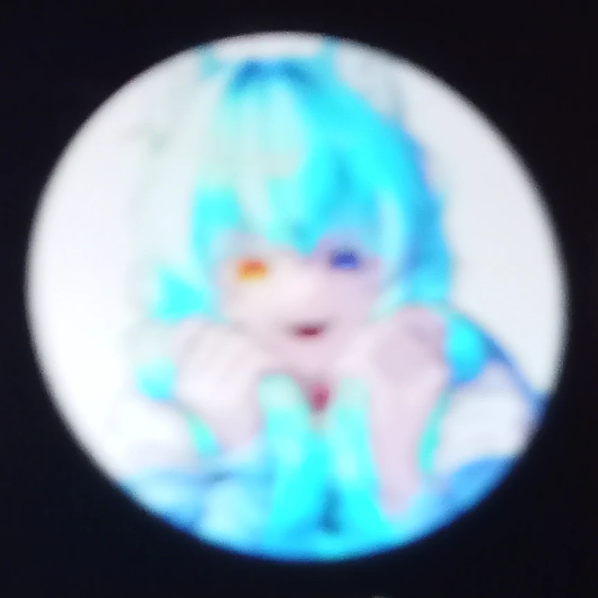 붉은 늑대 료미