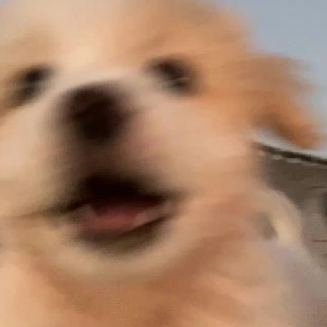 성요한
