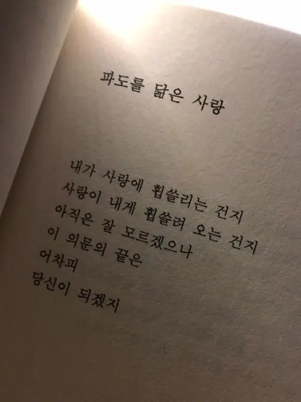 Kuwaog의 파도를 닮은 사랑